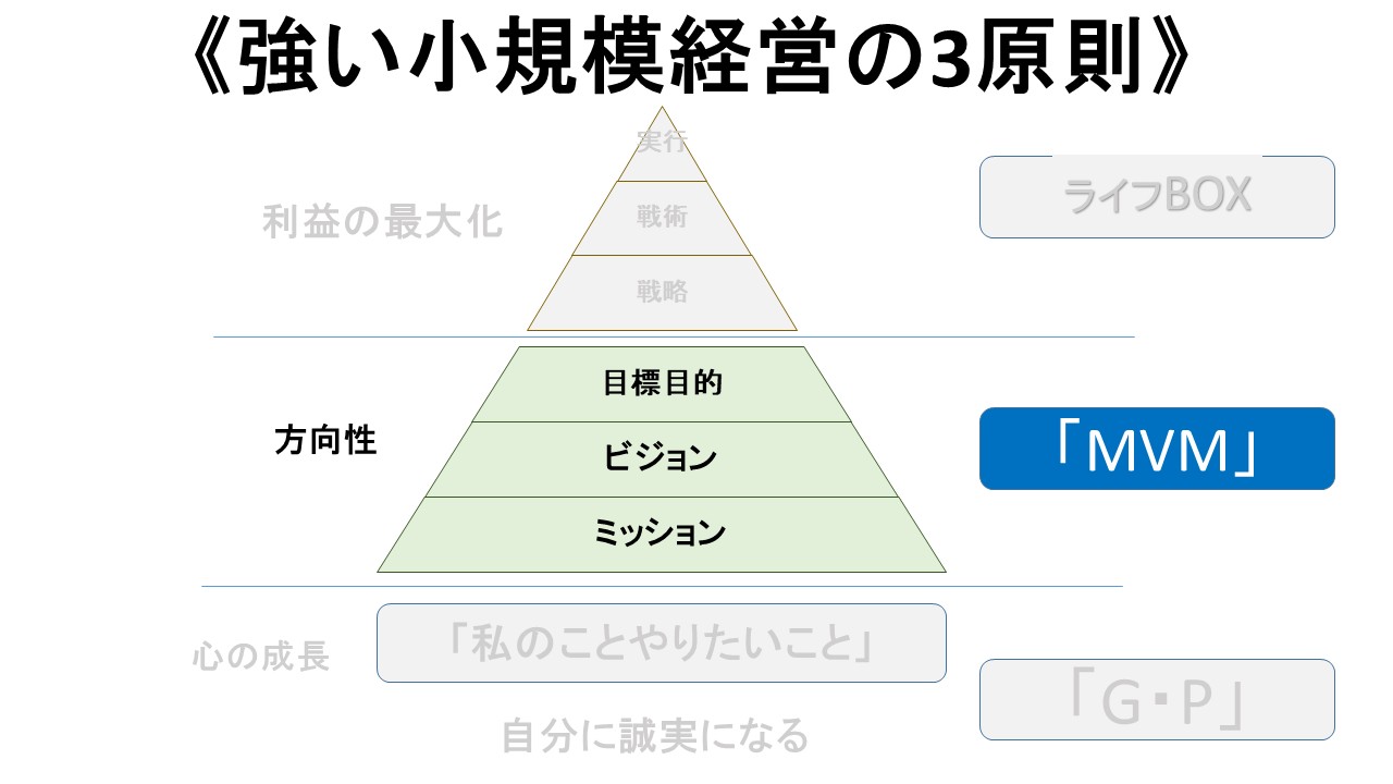 MVM原則の図解